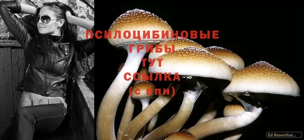 амфетамин Абинск